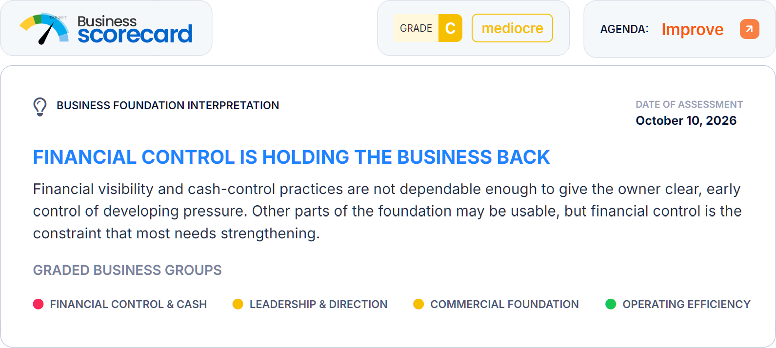 Bizright Bird's Eye View showing business health states, major problems, and fundamentals tested